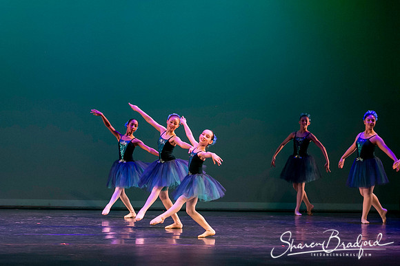 Khachaturian Waltz pc Sharen Bradford-3643