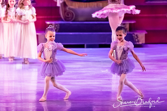 CCBT Nutcracker 19 pc Sharen Bradford-5313