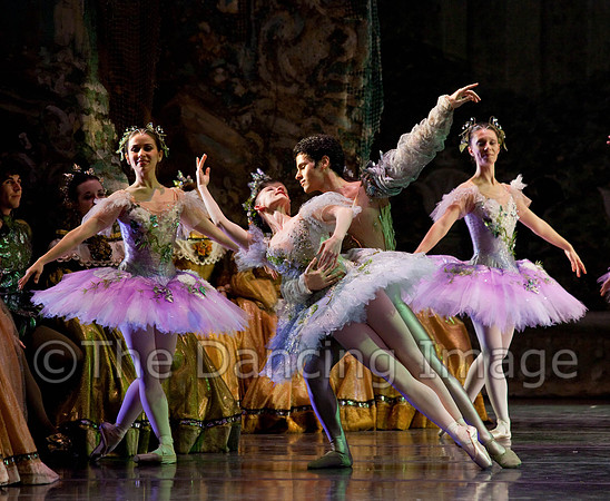 TB Sleeping Beauty Wed.-0145
