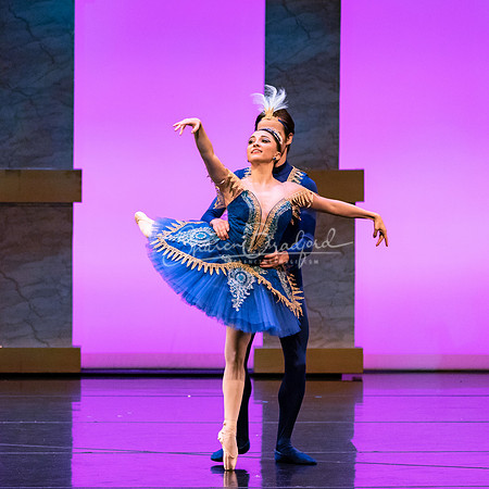 Ballet NTX Sleeping Beauty pc Sharen Bradford-1872