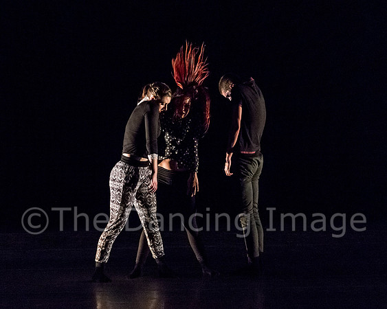 NobleMotion-2694