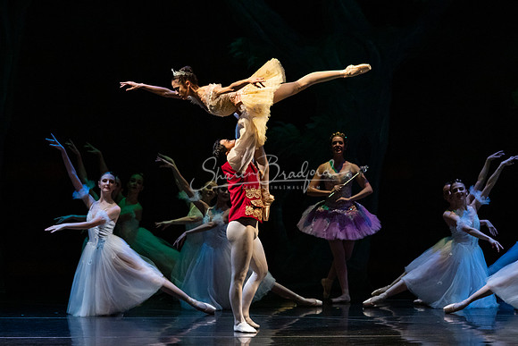 Ballet NTX Sleeping Beauty pc Sharen Bradford-1252