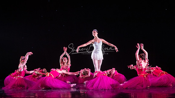 ASFB Nutcracker 2022 pc Sharen Bradford-0985