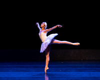 Dying Swan pc Sharen Bradford-1209
