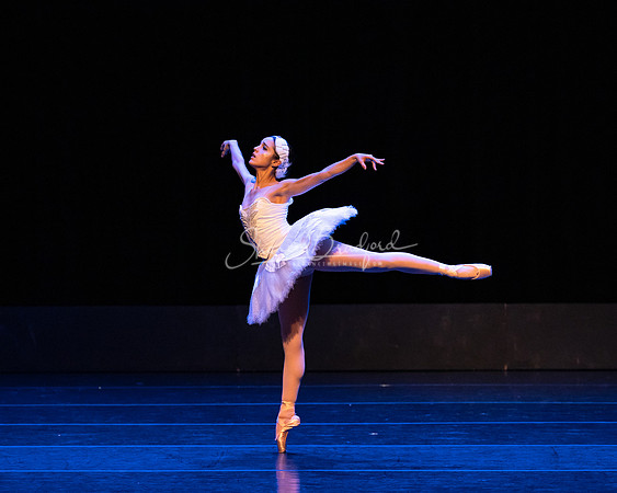 Dying Swan pc Sharen Bradford-1209