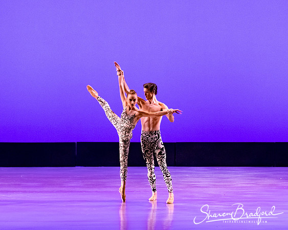 Ballet 37 pc Sharen Bradford-0436