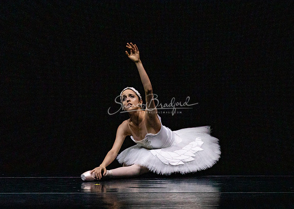 Dying Swan pc Sharen Bradford-1277