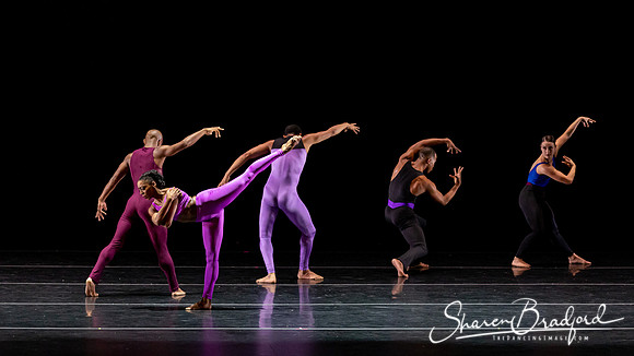 DBDT Execution of a Sentiment pc Sharen Bradford-1008