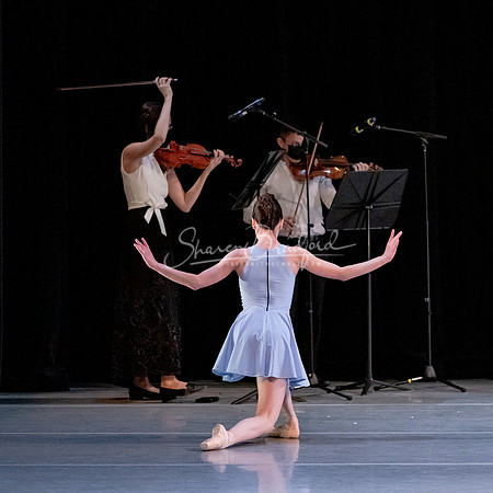 ACB Bartok Duets pc Sharen Bradford-0933