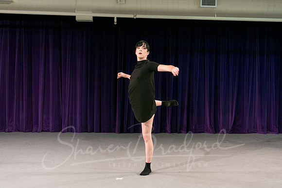Gold Shadow pc Sharen Bradford-1694