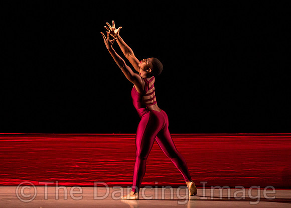 DBDT Encore-8660