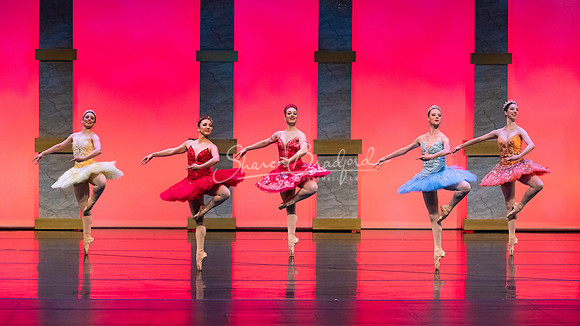 Ballet NTX Sleeping Beauty pc Sharen Bradford-0083