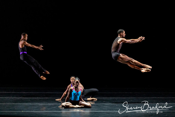 DBDT Execution of a Sentiment pc Sharen Bradford-0933