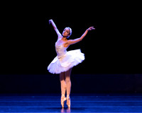 Dying Swan pc Sharen Bradford-1173