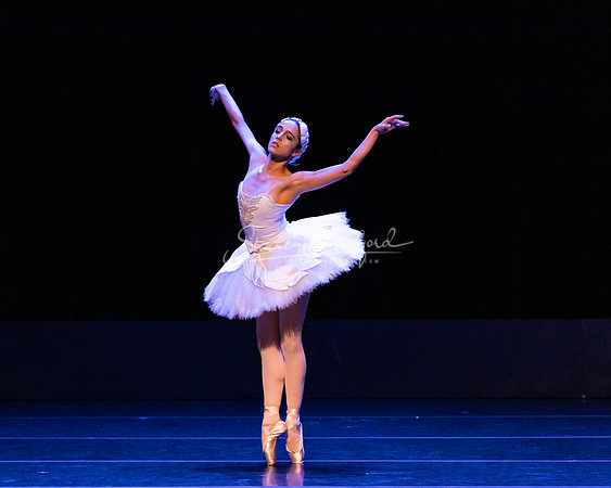 Dying Swan pc Sharen Bradford-1173