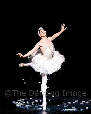 Dying Swan-0537