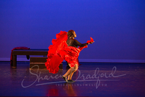 Bajo la Tormenta pc Sharen Bradford-0262