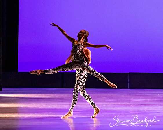 Ballet 37 pc Sharen Bradford-0452