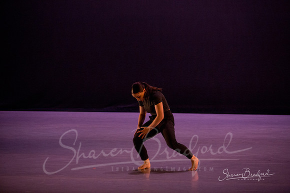 Lingering Shadow pc Sharen Bradford-7075