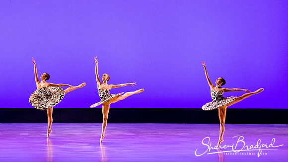 Ballet 37 pc Sharen Bradford-0300