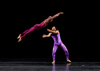 DBDT Execution of a Sentiment pc Sharen Bradford-0949