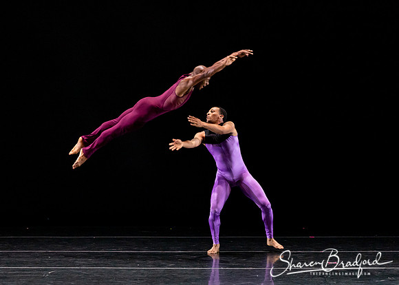 DBDT Execution of a Sentiment pc Sharen Bradford-0949