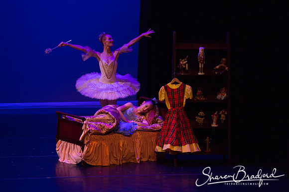 Clara's Dream 2019 pc Sharen Bradford-0039