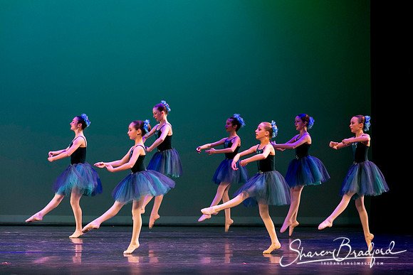 Khachaturian Waltz pc Sharen Bradford-3677