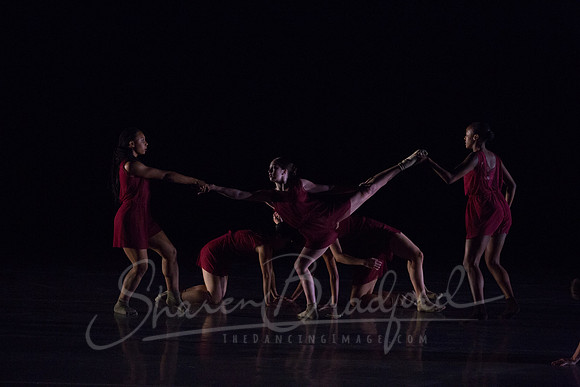 Bloom pc Sharen Bradford-9151