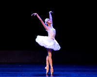 Dying Swan pc Sharen Bradford-1167