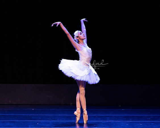 Dying Swan pc Sharen Bradford-1167
