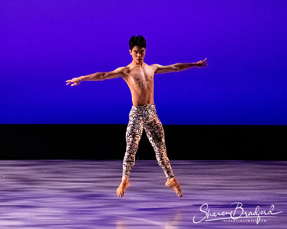 Ballet 37 pc Sharen Bradford-0457