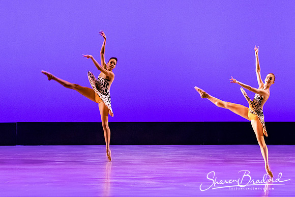 Ballet 37 pc Sharen Bradford-0305