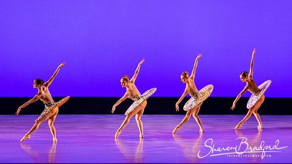 Ballet 37 pc Sharen Bradford-0269