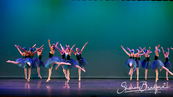 Khachaturian Waltz pc Sharen Bradford-3709