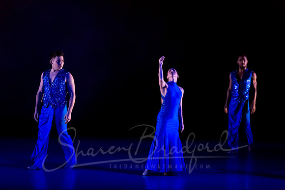 Following Echoes - pc Sharen Bradford-3052