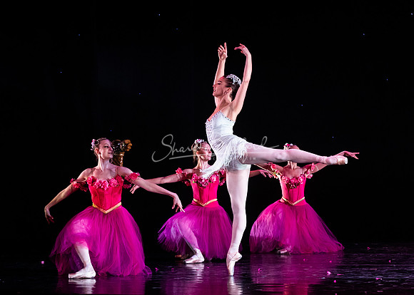 ASFB Nutcracker 2022 pc Sharen Bradford-1063