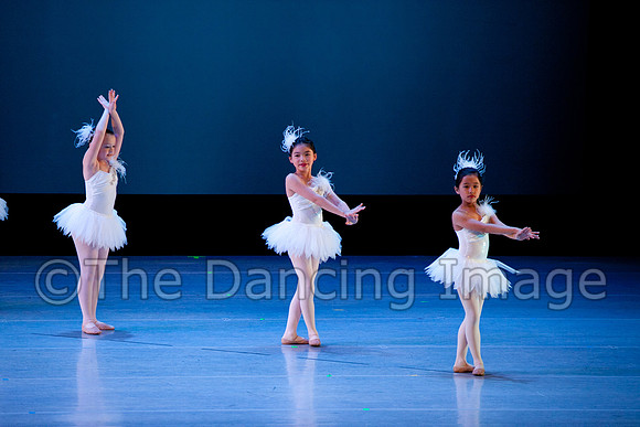 CSPAfri-2151