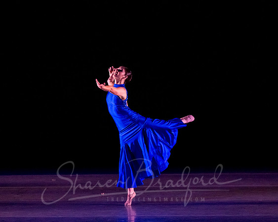 Following Echoes - pc Sharen Bradford-3307
