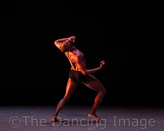 Alvin Ailey ADT-2239