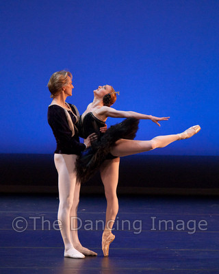 Black Swan-1226