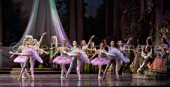 TB Sleeping Beauty Wed.-0115