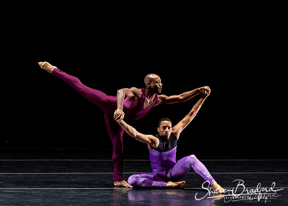 DBDT Execution of a Sentiment pc Sharen Bradford-0962