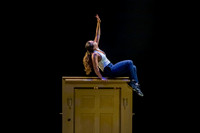 DIAVOLO - Voyage pc Sharen Bradford-0071