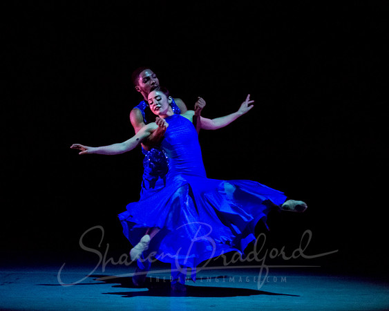Following Echoes - pc Sharen Bradford-3474