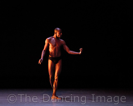 Alvin Ailey ADT-2261