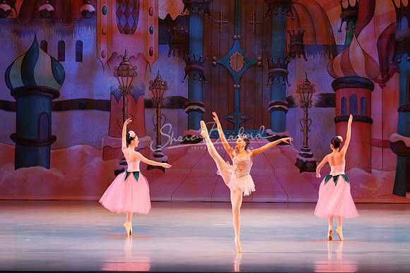 CPA Nutcracker 11-26-23 pc Sharen Bradford-8547