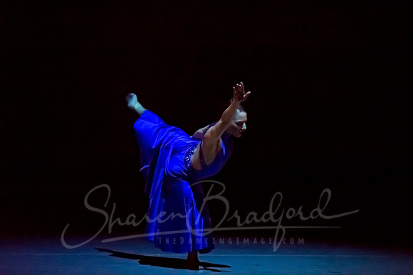 Following Echoes - pc Sharen Bradford-3045