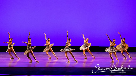 Ballet 37 pc Sharen Bradford-0243