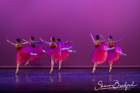 Waltz of the Flowers pc Sharen Bradford-2869